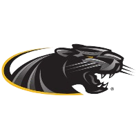 底特律莫瑟大學